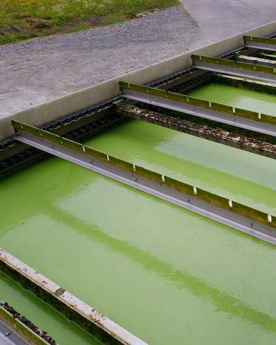 Escava Dissolved Air Flotation (DAF)