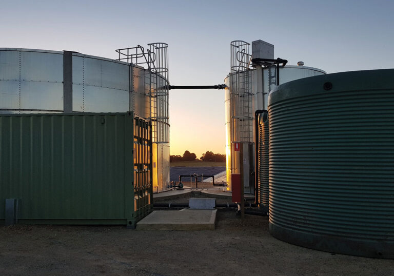 Vic-Livestock-Yard-Treatment-3-1200x840px
