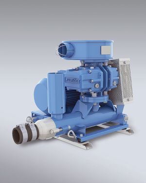 Aggressor Roots Blower System