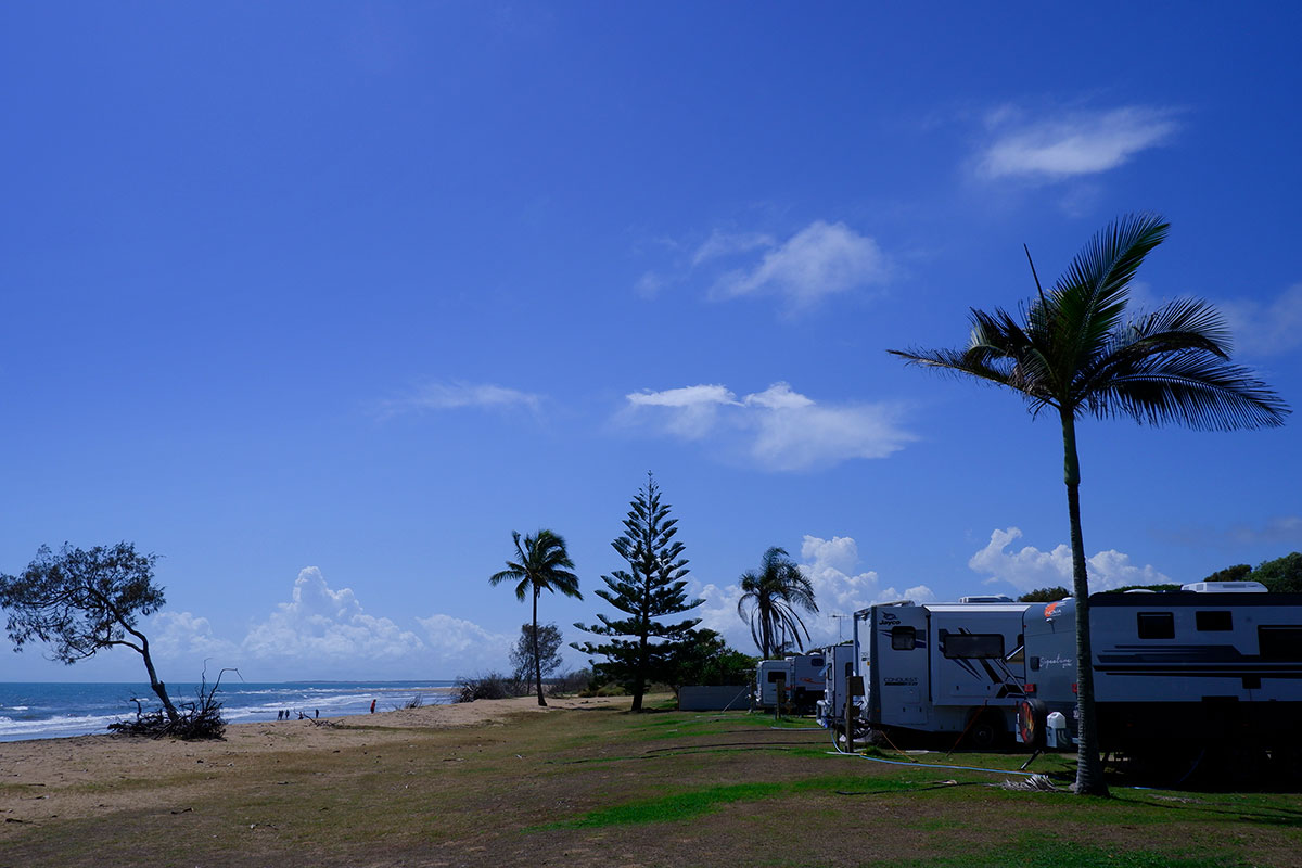 Moore-Park-Plant-2-1200x800px