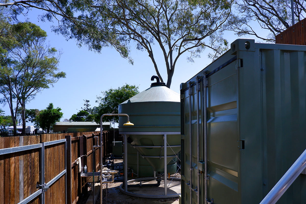 Moore-Park-Plant-8-1200x800px